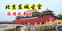 日日骚逼网中国北京-东城古宫旅游风景区